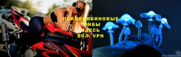 тгк Баксан