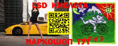 гидропоника Будённовск