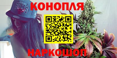 гидра Берёзовский