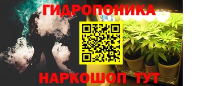 гидропоника Будённовск