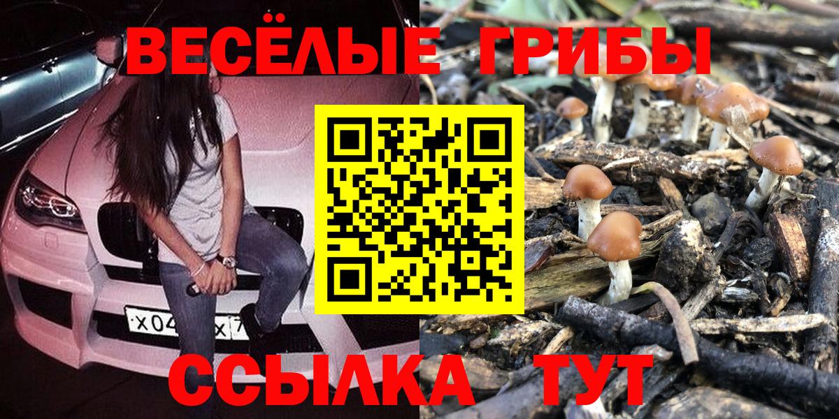 Воскресенск  Галлюциногенные грибы мухоморы  где найти наркотики  Вход с VPN 