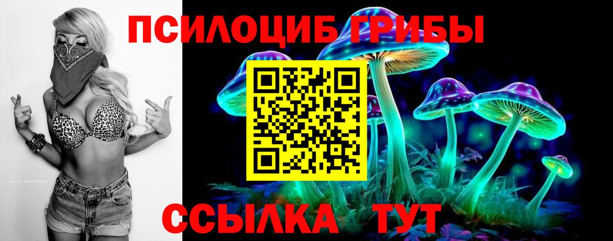 Псилоцибиновые грибы MAGIC MUSHROOMS  Воскресенск  где продают   Галлюциногенные грибы MAGIC MUSHROOMS 