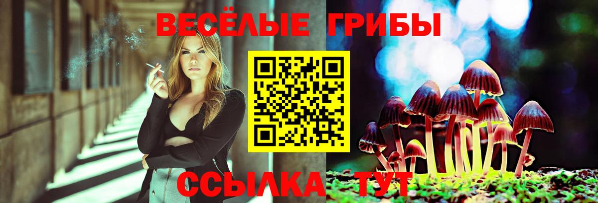 Псилоцибиновые грибы Cubensis Воскресенск